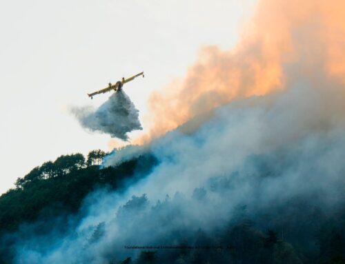 Foundational National Environmental Policy Act Under Threat. . .Again – Beyond Pesticides