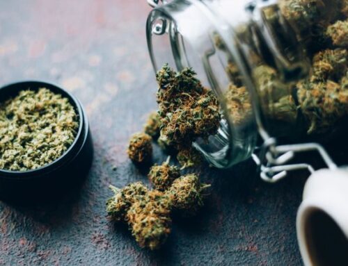 Cranberries, butter, weed: ‘Green Wednesday’ adds one more thing to the Thanksgiving shopp