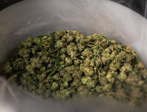 New 24% marijuana state tax proposal getting pushback in court