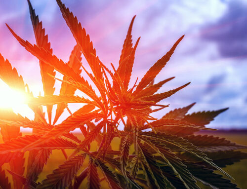 State AGs Seek Federal Ban on Intoxicating Hemp-Derived THC Products