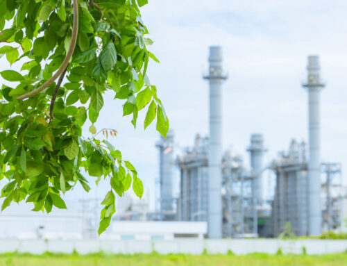 New study reveals shady practices of massive oil companies: ‘Decades of empty words’