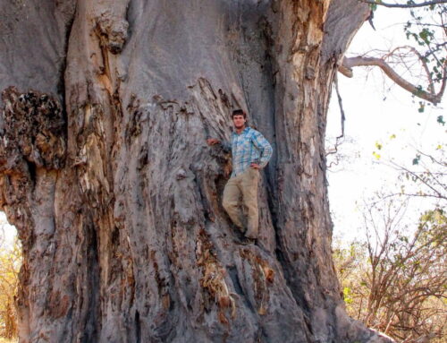 Turning outdoor exploration into environmental discovery: Gregg Treinish and the rise of A