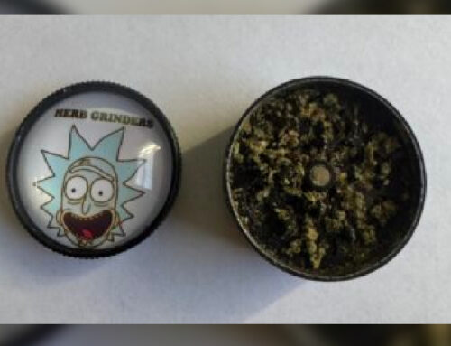 12-Year-Old Student Cited For Cannabis Possession At Charles County Middle School