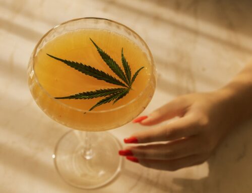 More Cannabis, Less Alcohol—In Studies and in Real Life