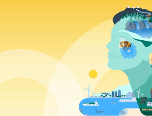 Europe’s environment 2025 to be launched in Podgorica: Western Balkans’ growing contributi