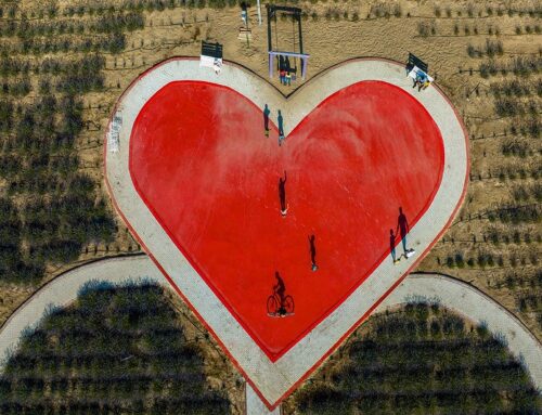 One in five cardiovascular deaths in the EU, preventable by improving the environment