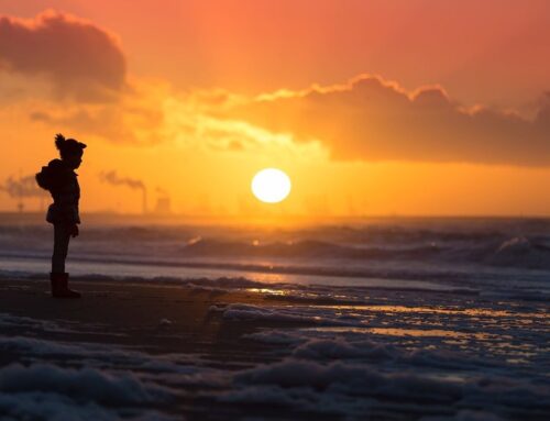 Trends and Projections: greenhouse gas emissions largely on track to 2030 targets