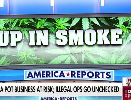 LA cannabis shop owners refuse to pay taxes until city cracks down on illegal sellers