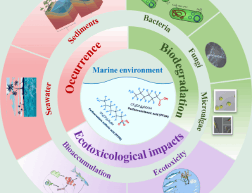 Insights into the occurrence, ecotoxicity, and biodegradation of perfluorooctanoic acid an
