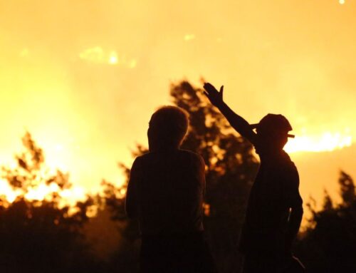 Global Energy Report Offers Choice for Humanity: Renewable Transition or ‘Dystopian Future