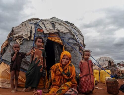 Battlefields to wastelands: UN warns conflicts are destroying ecosystems worldwide