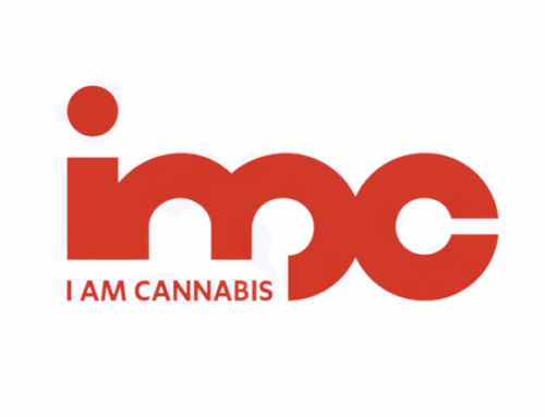 IM Cannabis (NASDAQ: IMCC) to report results Nov 13 at 9:00am ET before market open
