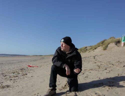 ‘An oil spill in solid form’: Bio-bead disaster devastates beloved English coast