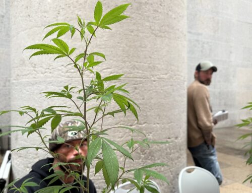 Ohio lawmakers advance late-night deal on cannabis, hemp law overhaul