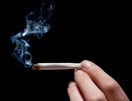 Sonoma County Board of Supervisors Approve Cannabis Consumption Lounges