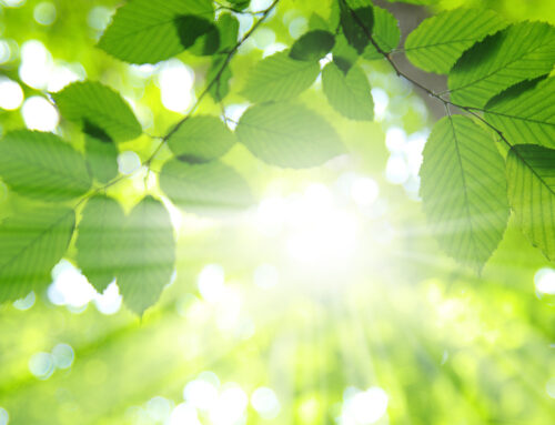 Scientists Achieved Infinite Clean Energy Through Artificial Photosynthesis