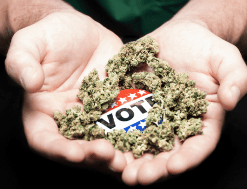 Election Day Decisions Could Reshape East Coast Cannabis Markets