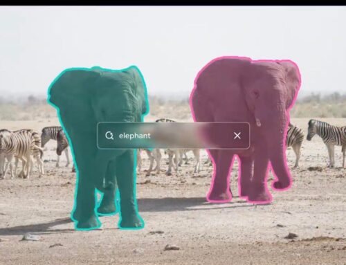 Meta’s New AI Models Aren’t Llamas, but They Are Used in Wildlife Conservation Research