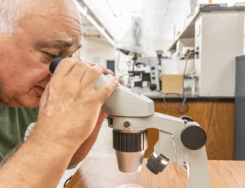 How Philadelphia seniors are tracking microplastics in streams and working to ‘leave a bet
