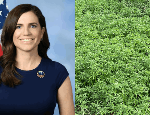 US Congresswoman Unveils Bill to Repeal Federal Hemp Product Ban