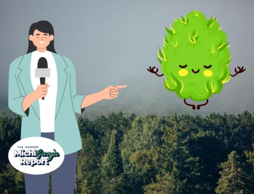 7 quick hits of cannabis news from across Michigan