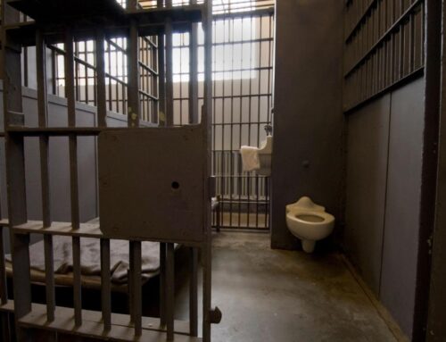 Study shows bail reform failed, Trump family’s bitcoin reek and…