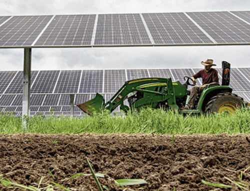 Blue State Steps Up To Save Farmers With Solar Power
