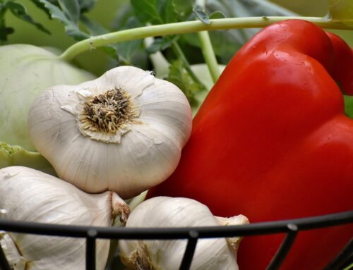 Home advantage? How consumers misjudge the environmental impact of imported food