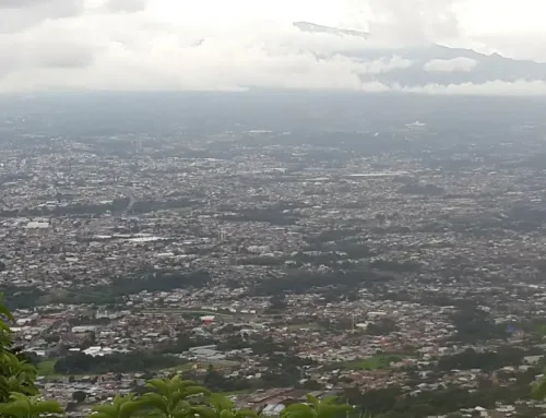 A study reveals the presence of toxic pesticides in urban effluents and warns about the ec