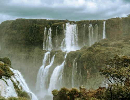 Brazil’s Green Transition: Many Conundrums Ahead