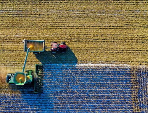 The Environmental Impact of Global Food Systems