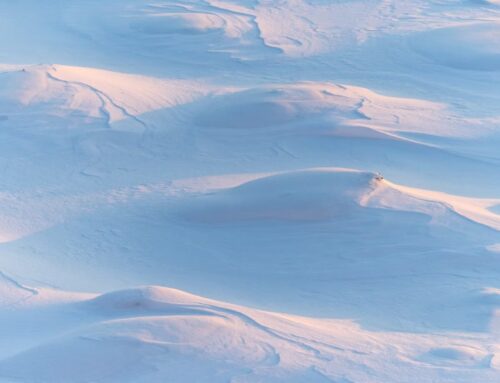 Hydrogen era could end — Finland uncovers a superior energy source hidden under the snow