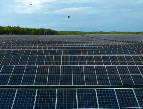 Pine Gate Renewables makes Chapter 11 filing, seeks sale