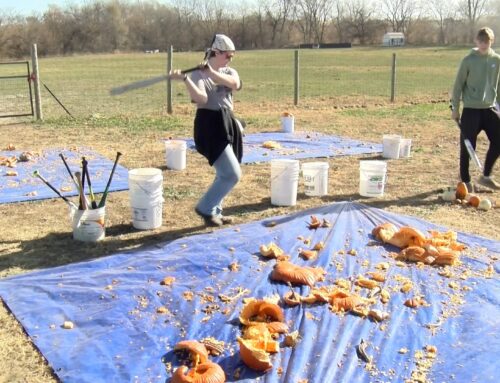 Pumpkin Smash Bash: Two nonprofits invite families to reduce waste and help the environmen