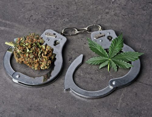 Two New York men charged in Madison County cannabis trafficking case