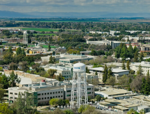 Prosecutors cite cannabis ‘psychosis’ theory in UC Davis stabbing spree