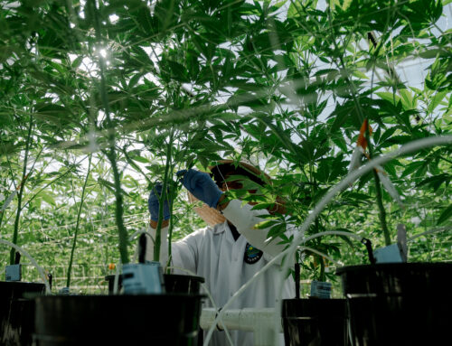 Deadly Trump admin raid on California farm cost company $26 million