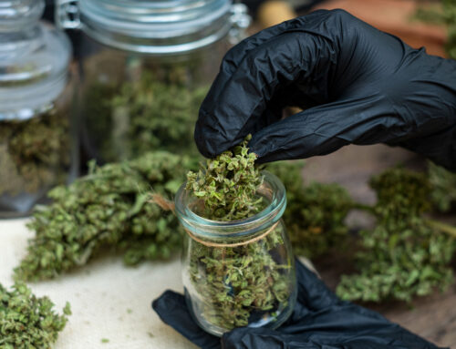 Dispensaries are recommending cannabis for pain and sleep — with no evidence, UCSF study f