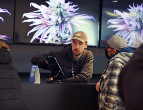 New Jersey Senate president seeks to revamp cannabis law