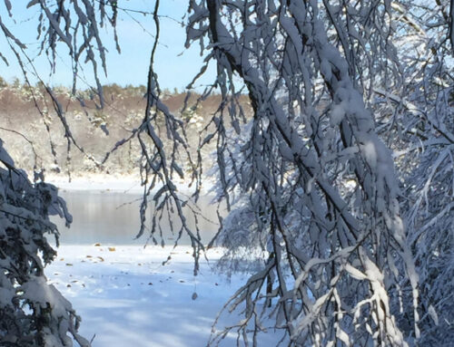 You’d Really Miss Renewables This Winter If They Weren’t Available