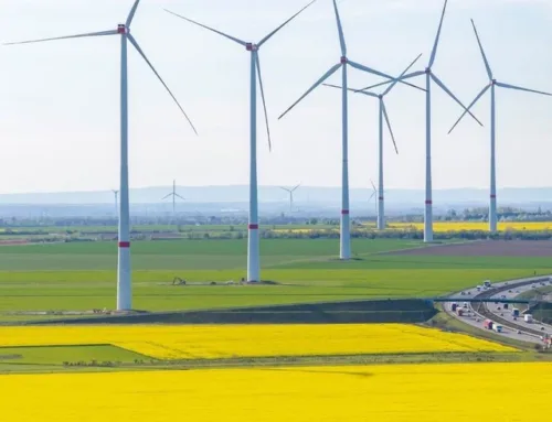 RWE’s Meta-backed solar park in Louisiana to go live by end-2025