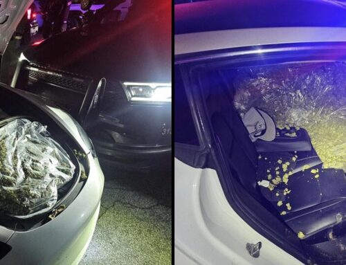 Teen arrested after Salinas cannabis heist, pursuit to Gilroy