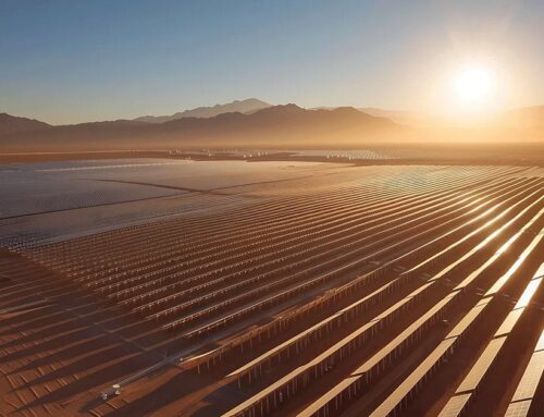 Why TotalEnergies was Selected for Saudi Arabia Solar Plant