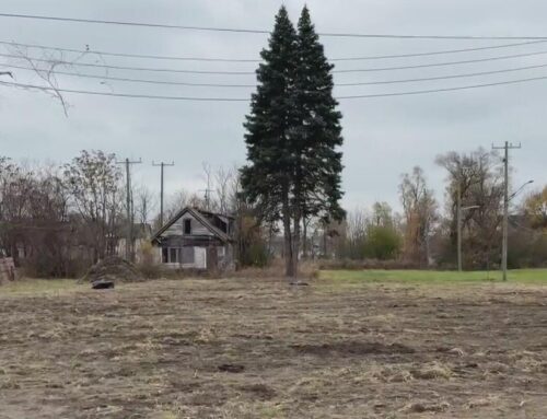 Detroit nonprofit working with environmental group to transform vacant lot into green spac