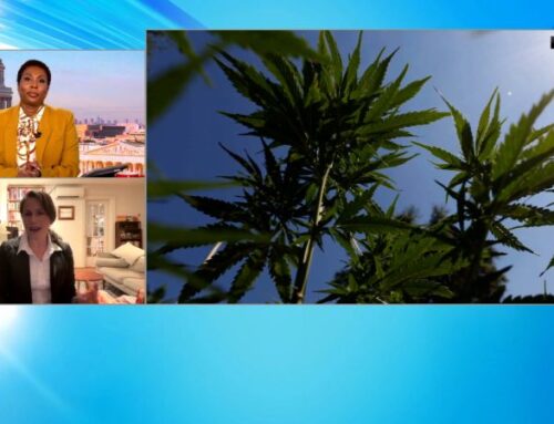 The ‘Cousin Walk’: How Cannabis Became a Thanksgiving Coping Ritual