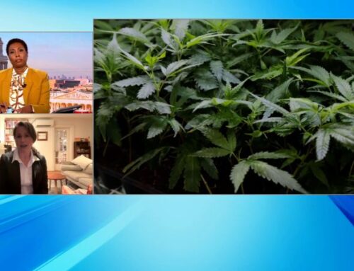 Cannabis Industry Pushes ‘Green Wednesday’ as Thanksgiving Tradition