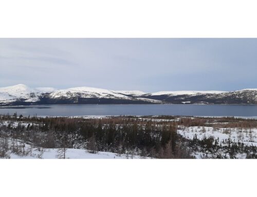 Feds commit nearly $22m to Labrador renewable energy projects