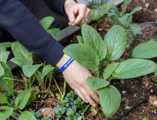 Construction begins on environmental education center in Hudson