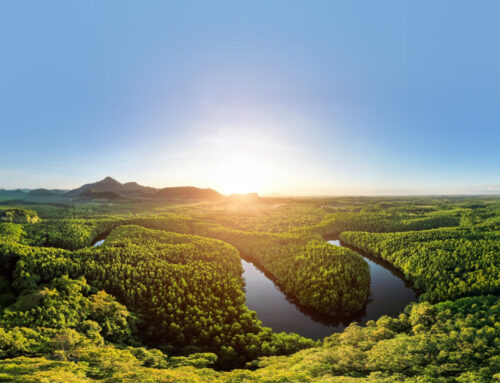 Marine monitoring project “Nosoko Umishobu Seagrass Colony (Nationally Certified Sustainab