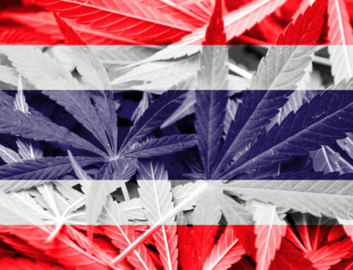 Thailand’s Cannabis Leadership: The Path from Innovation to Sustainable Reform